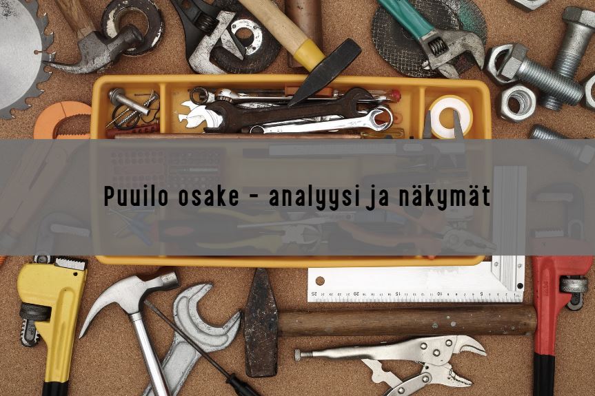 puuilo osake